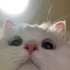 unnocspeedfile