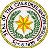 snow_owl_cherokee_spirit