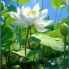 nganguyenthi1012