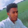 nabil.bich