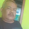 dedemintara