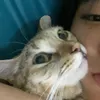 zy_enn0410