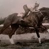 horseracing100