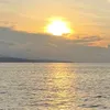 alexa.mulya
