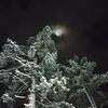 freezing_moon_kizo