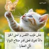 zoulaikha44