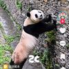 userbgg7xczfgm