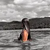 louann_crm