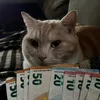 emil_gml