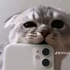 1_ranindu_1