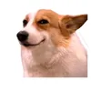 `