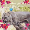 husseino85