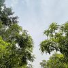 aasdfg232