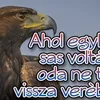 user6hsw7px16n
