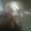 user95hrqqf04