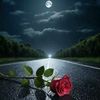 hamza_m200