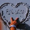 arris.camy