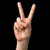 yousseftassnim