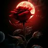 mian.faizan3339