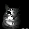 cookie_dbl