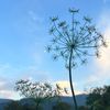 beantree2363