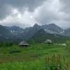 sjsjamsmsmsms