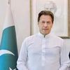 mian.hassan7037
