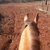 khaio_7890