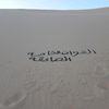 user4356016104448