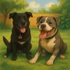 casperamericanbully