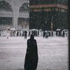 talal.bik7