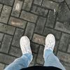 mass_nall06