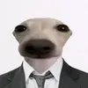 thanhdanh080