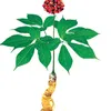 to.kontum