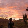 alwi.531