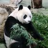 amyteacher520