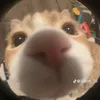 nhi_7.hi