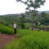 menghourleang