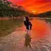 htnn003