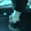 sahriar__69