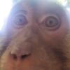 peresobirayu_karbyurator