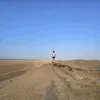 equitaponey
