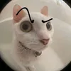 user4ikkyji9l2