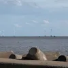 kanghub28