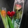 user8548024056052
