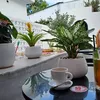 ltt_hn