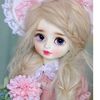 butterfly65091