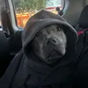 dorehlj