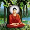 ursshrestha