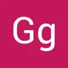 gg.h4016